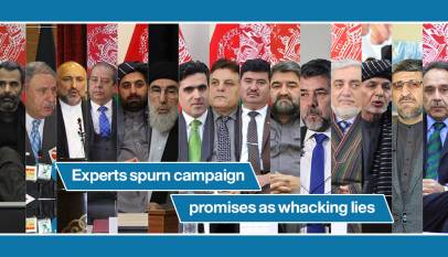Experts spurn campaign promises as whacking lies